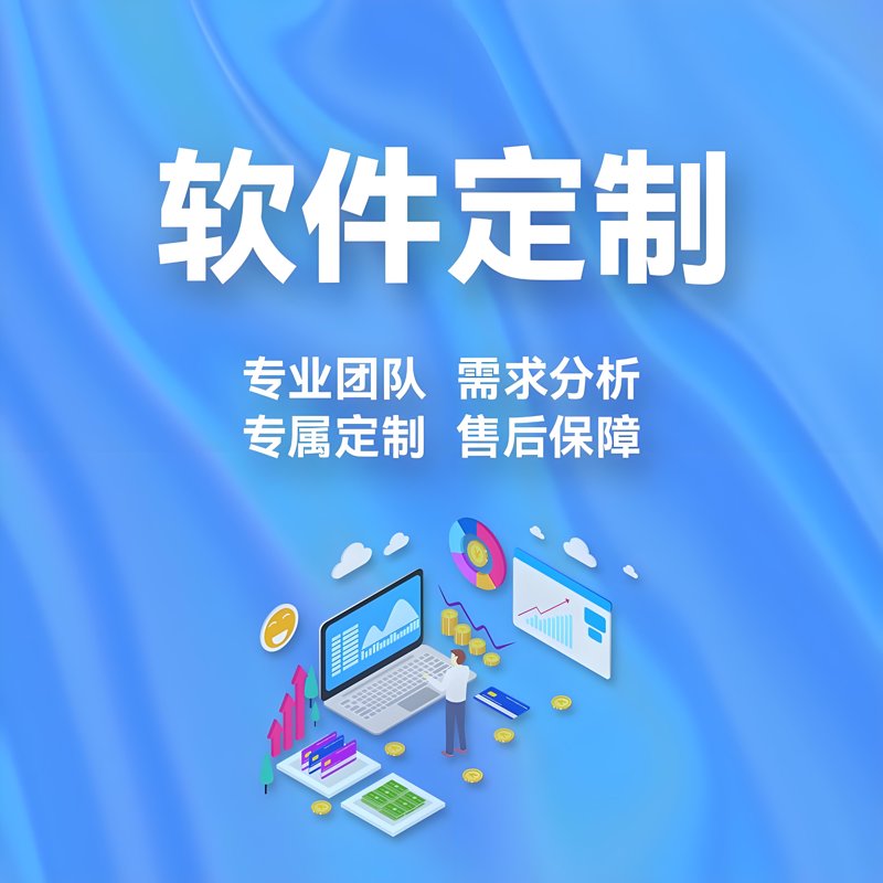 软件定制:创新引擎的新篇章